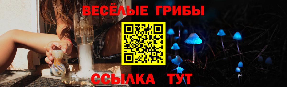 Сызрань  Псилоцибиновые грибы MAGIC MUSHROOMS  Вход с VPN 